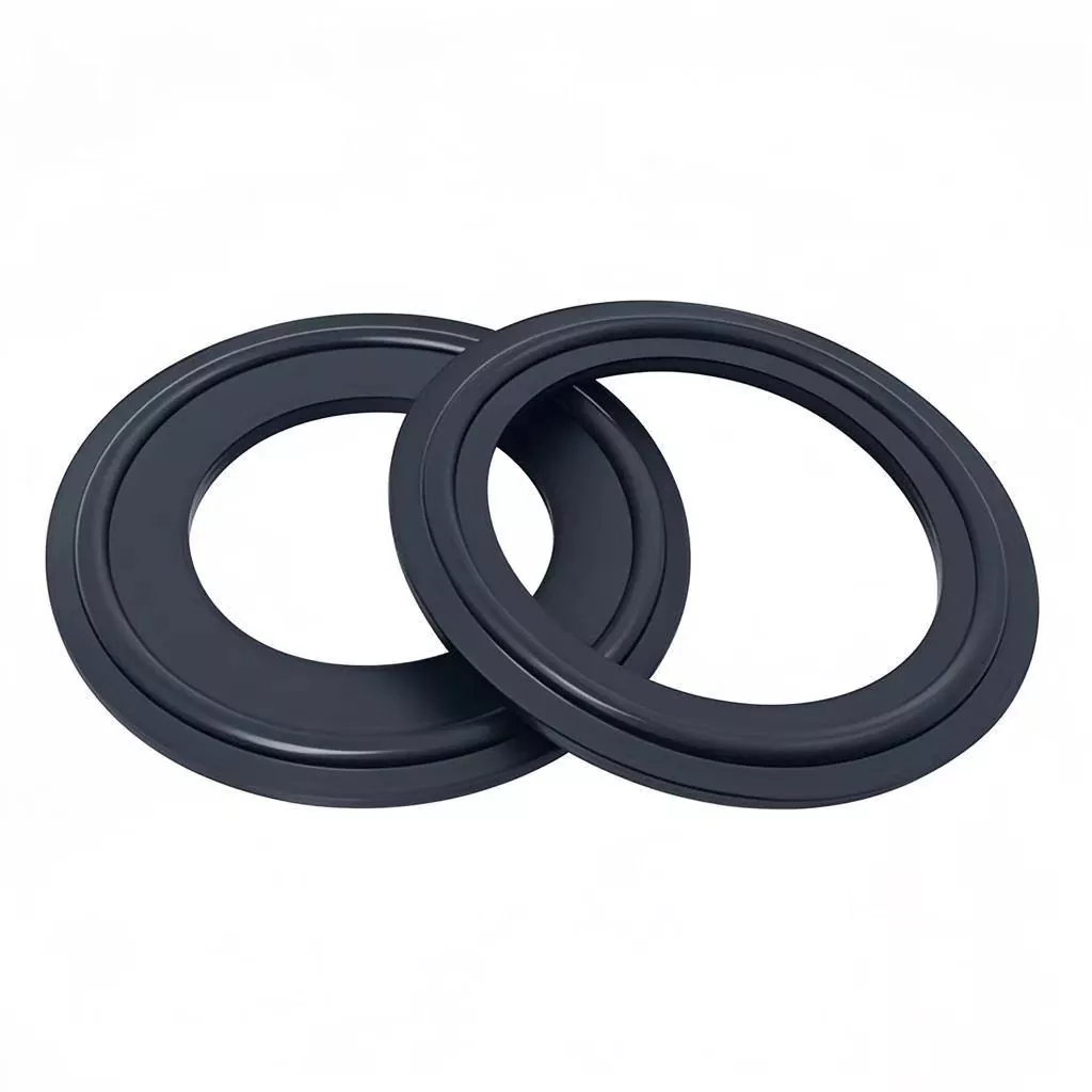 স্যানিটারি EPDM gaskets